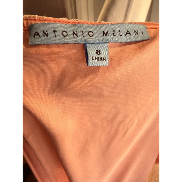 Antonio Melani Size 8 Intricate Lace Balayage Peaches and Creme Cocktail Dress - Picture 5 of 6